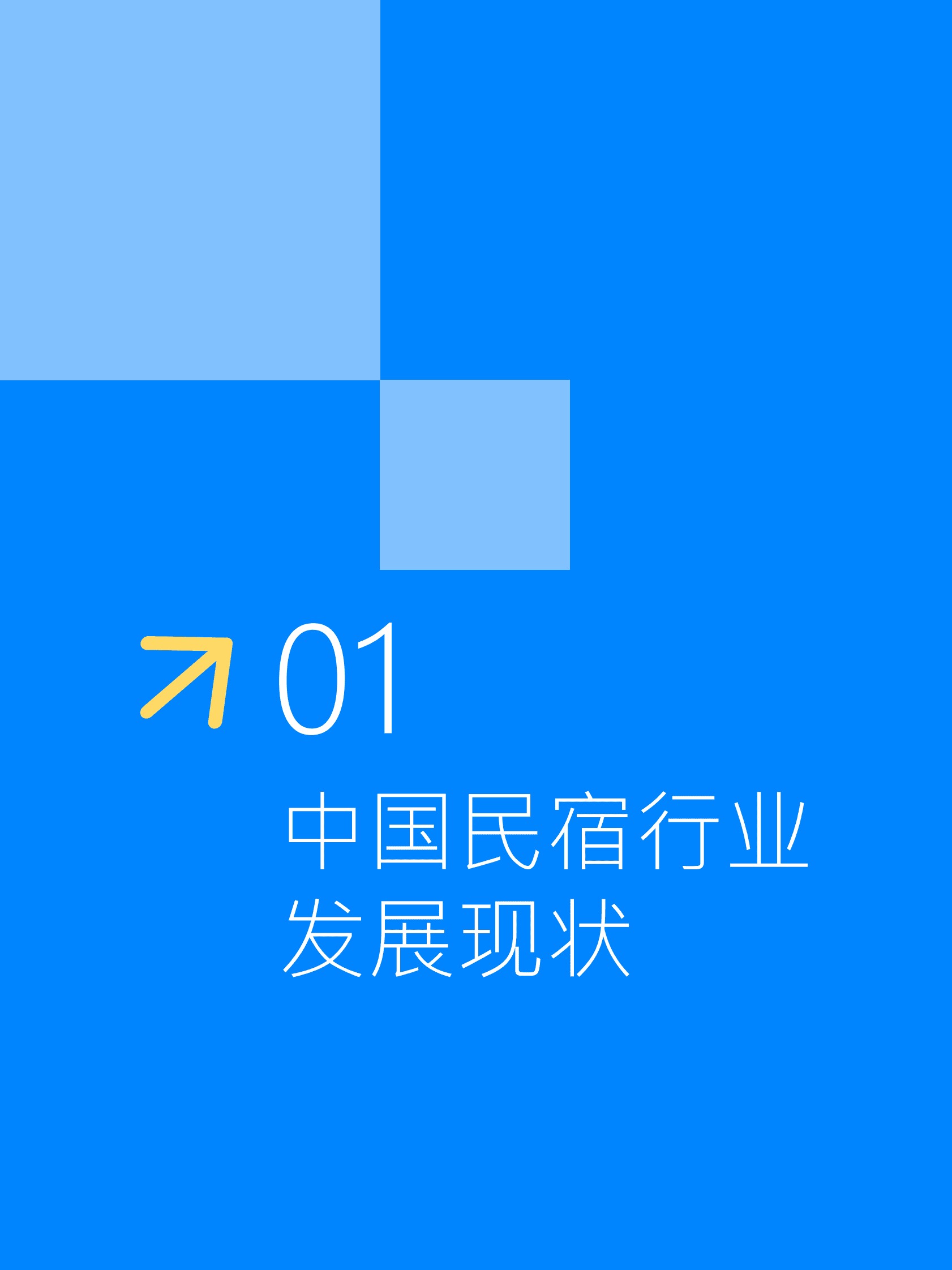 Fastdata极数：2025年中国民宿行业发展趋势报告 第6页