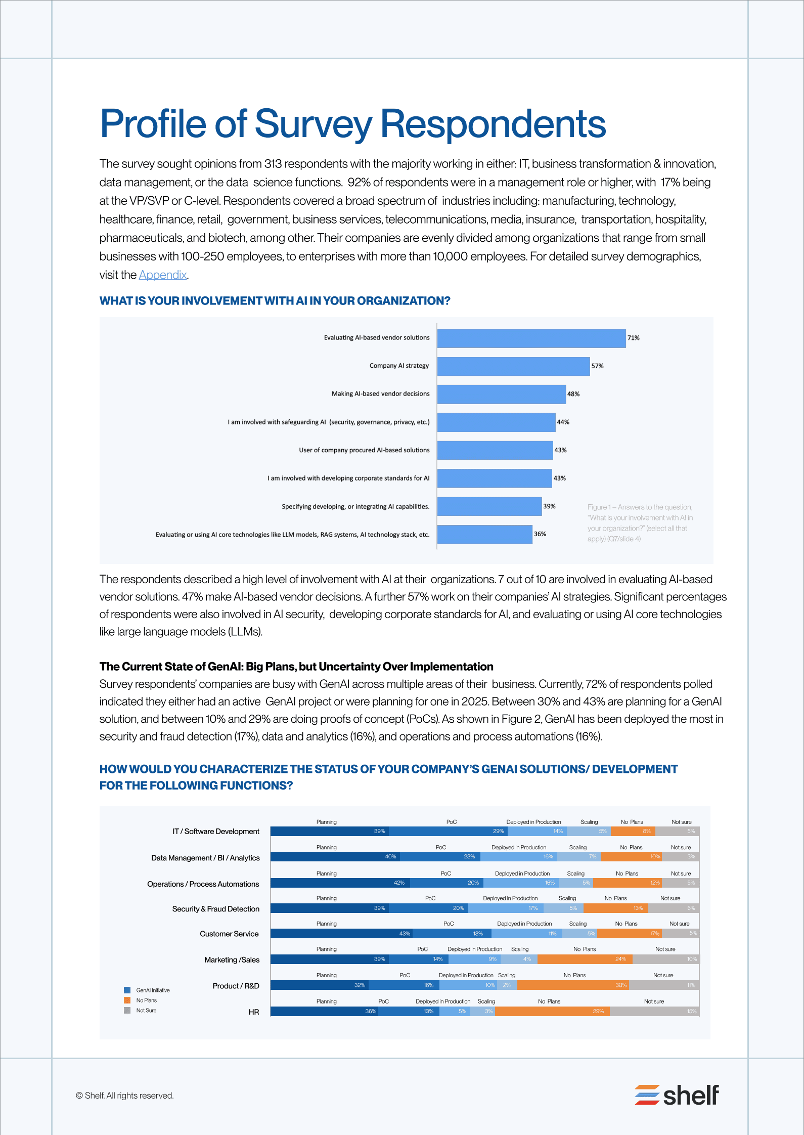 Shelf：2025年IT企业数据和非结构化数据状况展望报告（英文版） 第5页