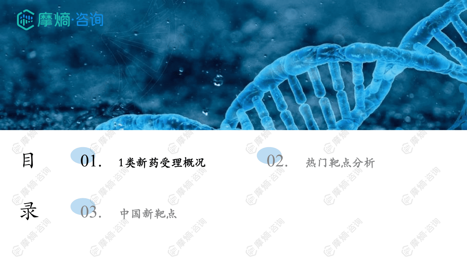 摩熵咨询：2024年中国1类新药靶点白皮书 第2页