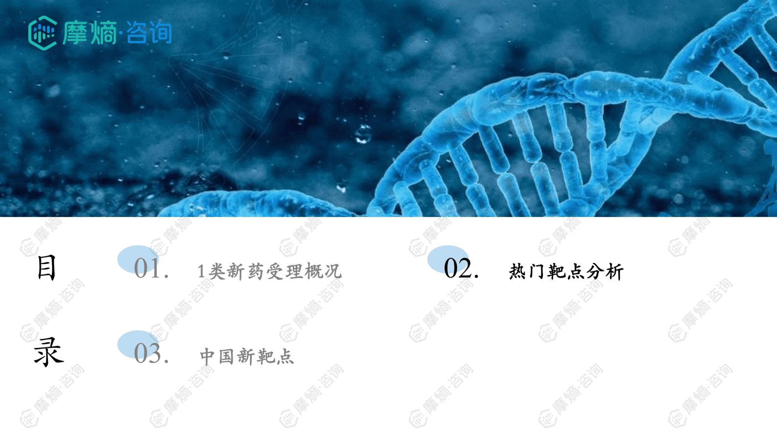 摩熵咨询：2024年中国1类新药靶点白皮书 第6页