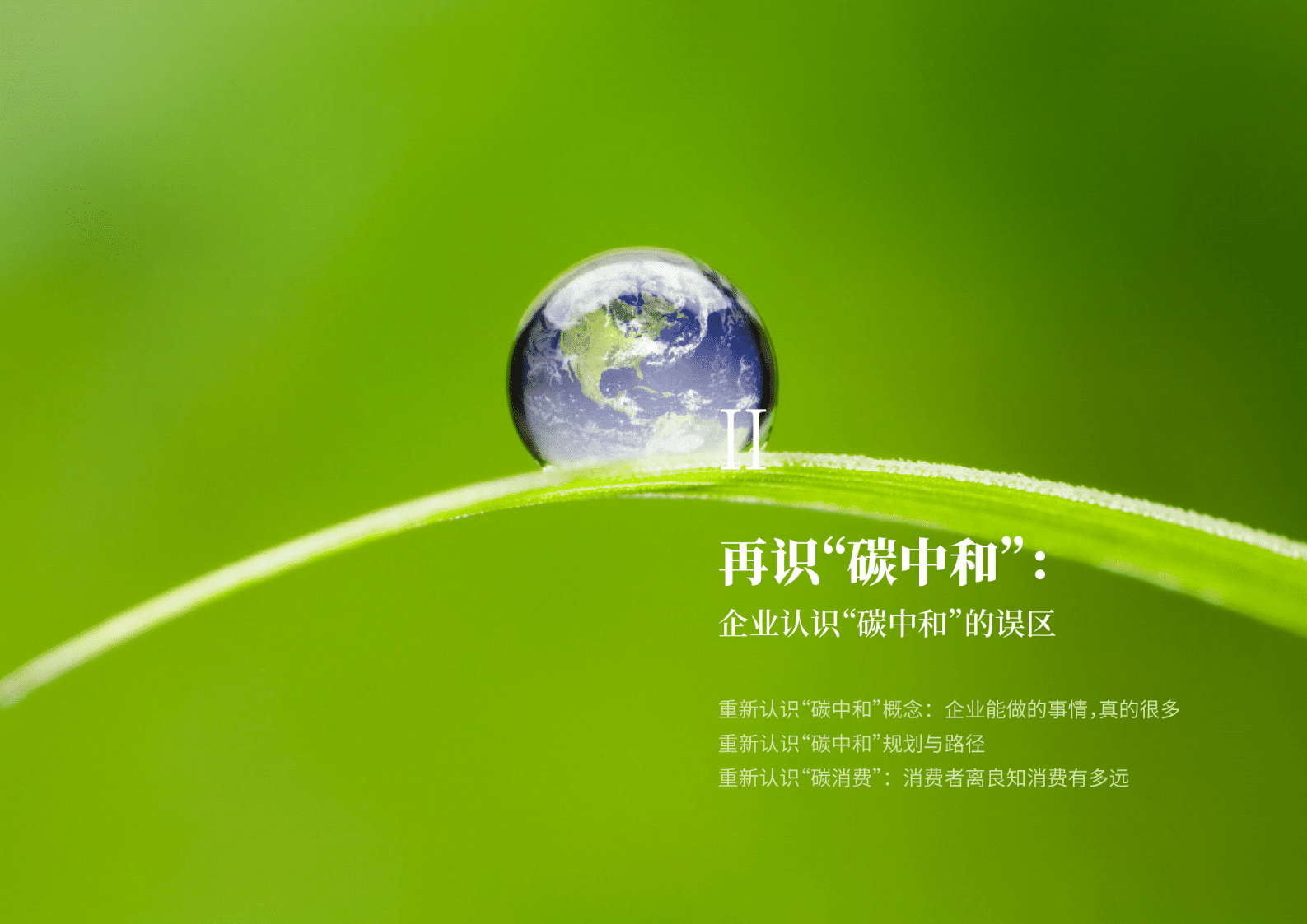 MSC咨询：&ldquo;碳中和&rdquo;企业绿色战略升级路径白皮书 第8页