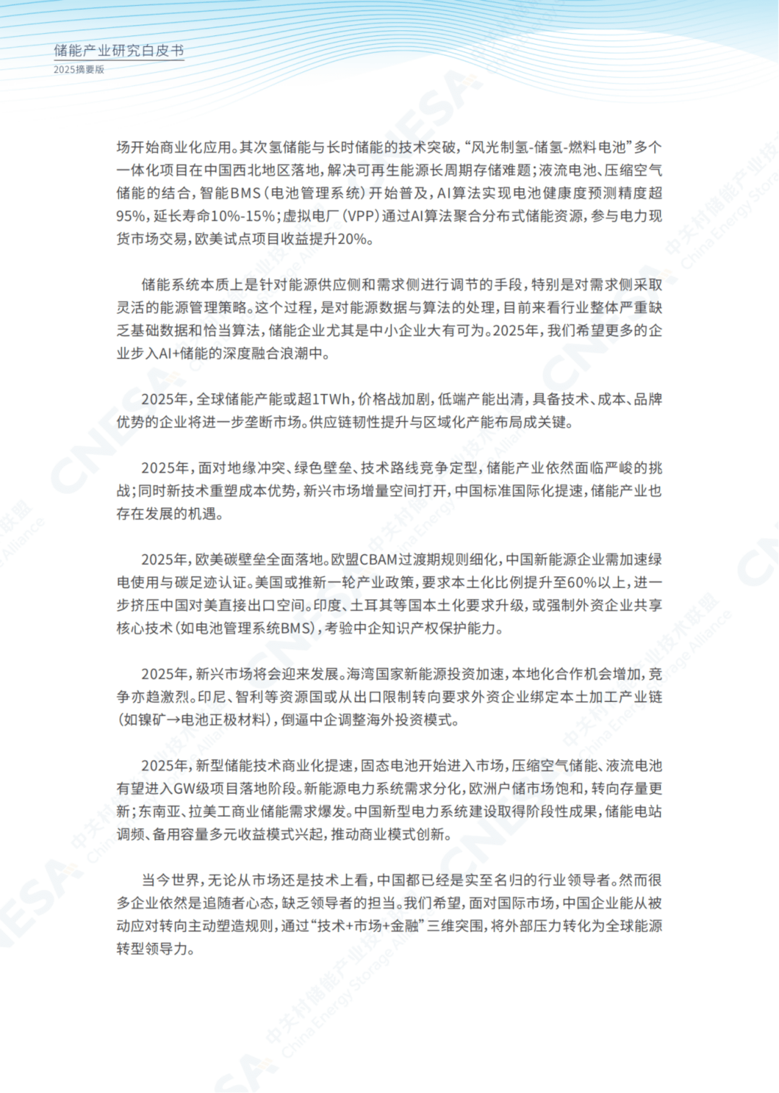 CNESA中关村储能产业技术联盟：储能产业研究白皮书2025（摘要版） 第5页