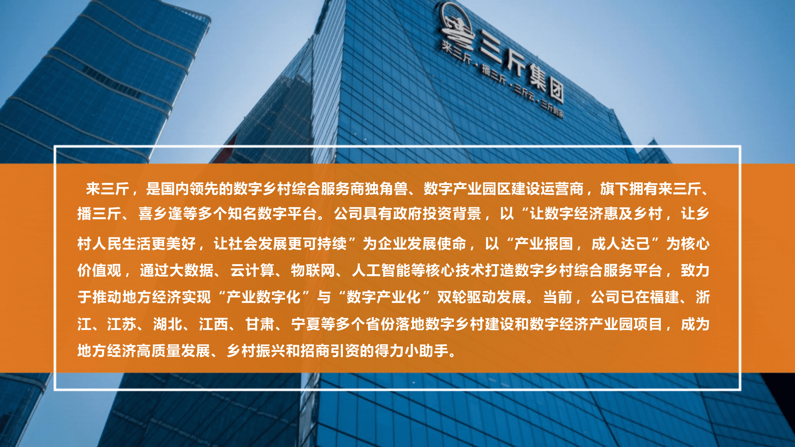 数字乡村独角兽 乡村振兴小助手（47页-PPT） 第3页