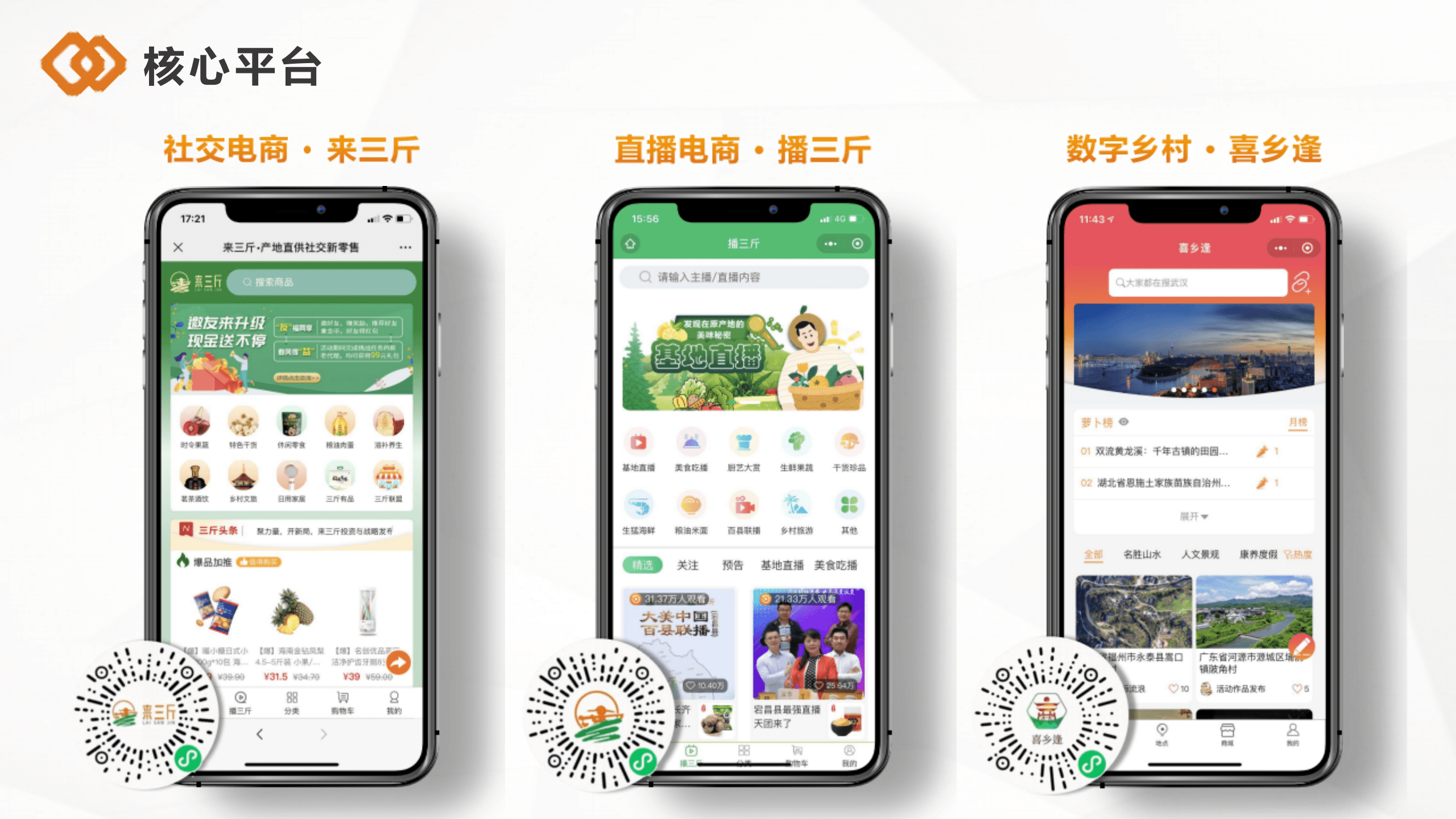 数字乡村独角兽 乡村振兴小助手（47页-PPT） 第6页