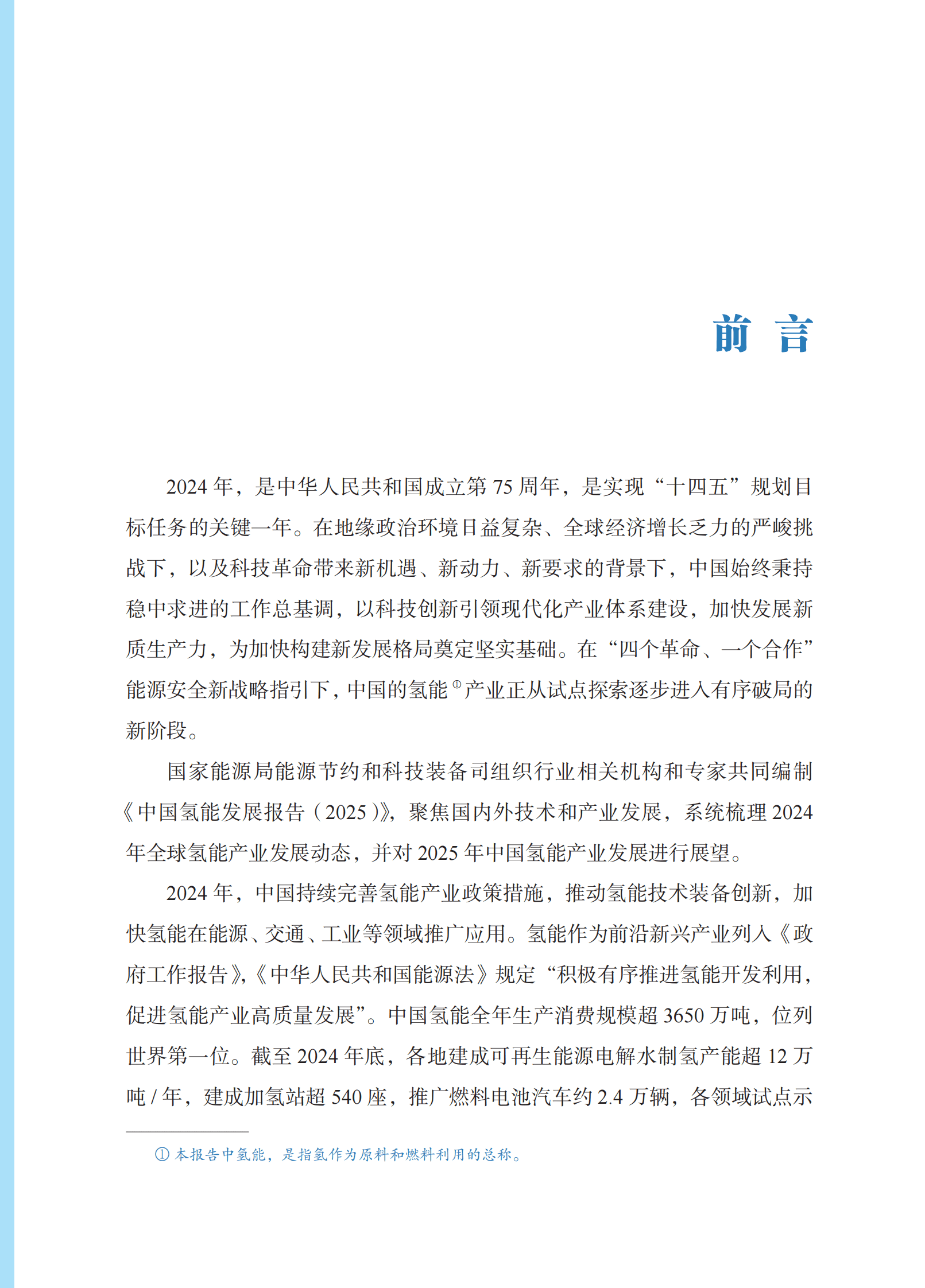 国家能源局：中国氢能发展报告2025 第5页