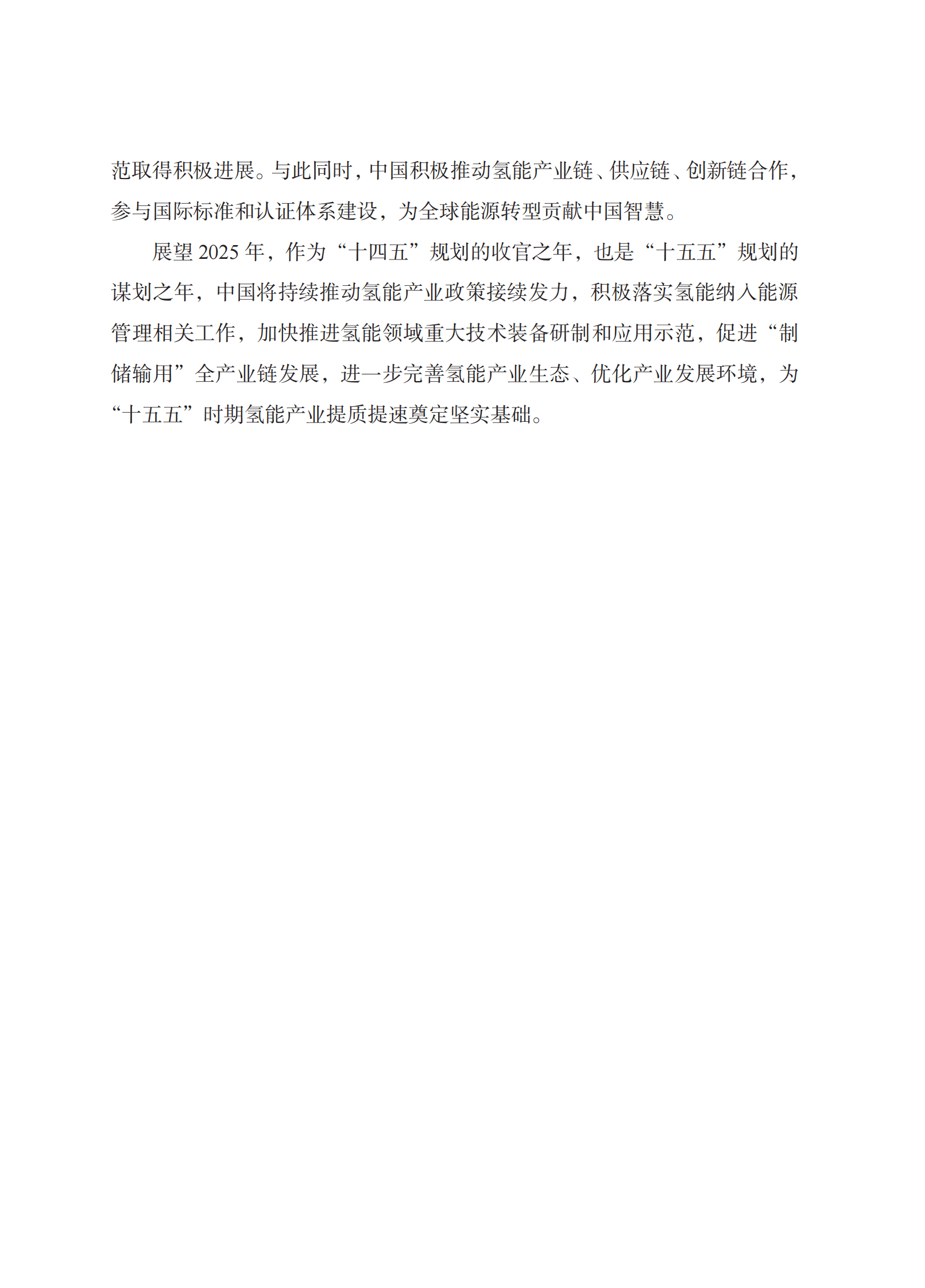 国家能源局：中国氢能发展报告2025 第6页