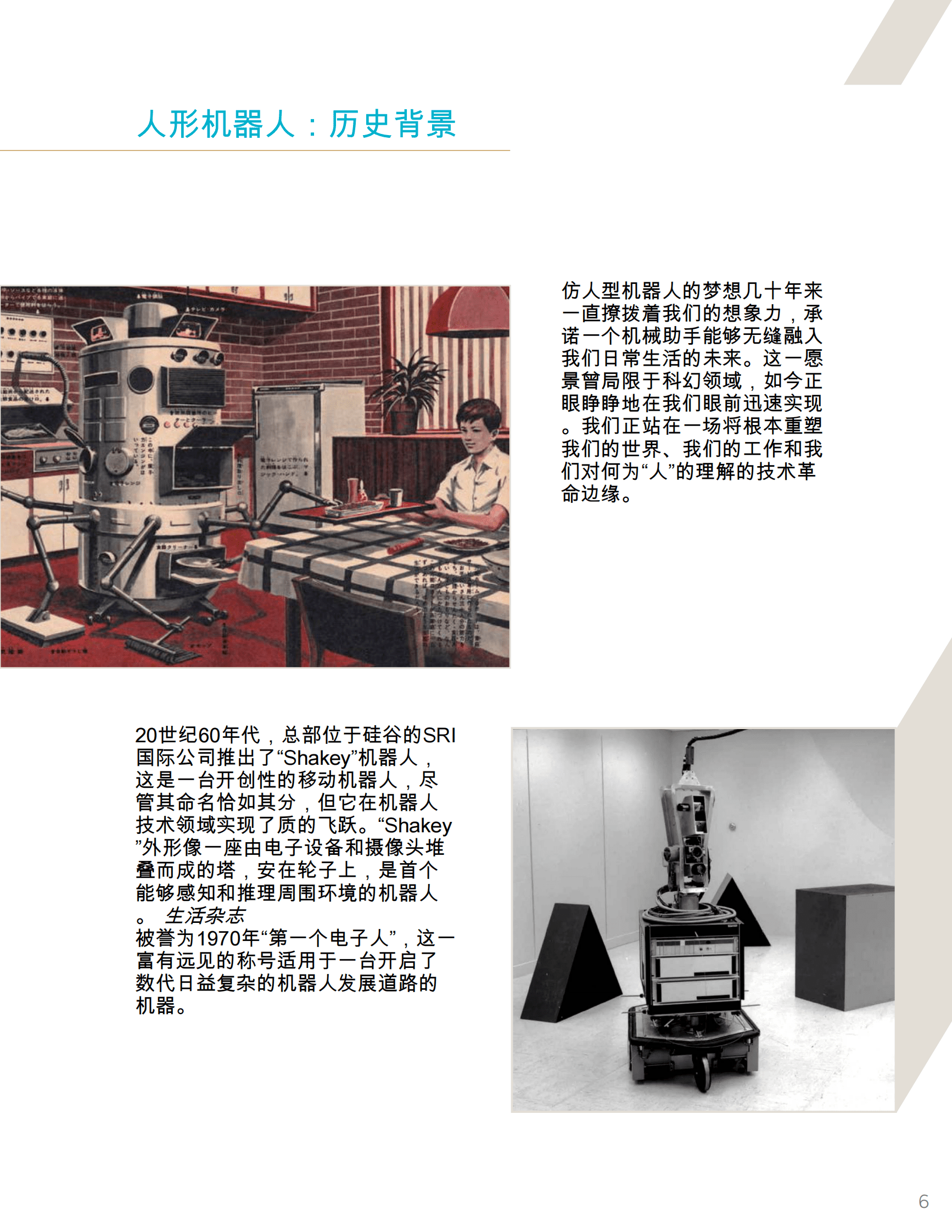 Abundance360：2025-2035年人形机器人发展趋势报告（英文） 第8页