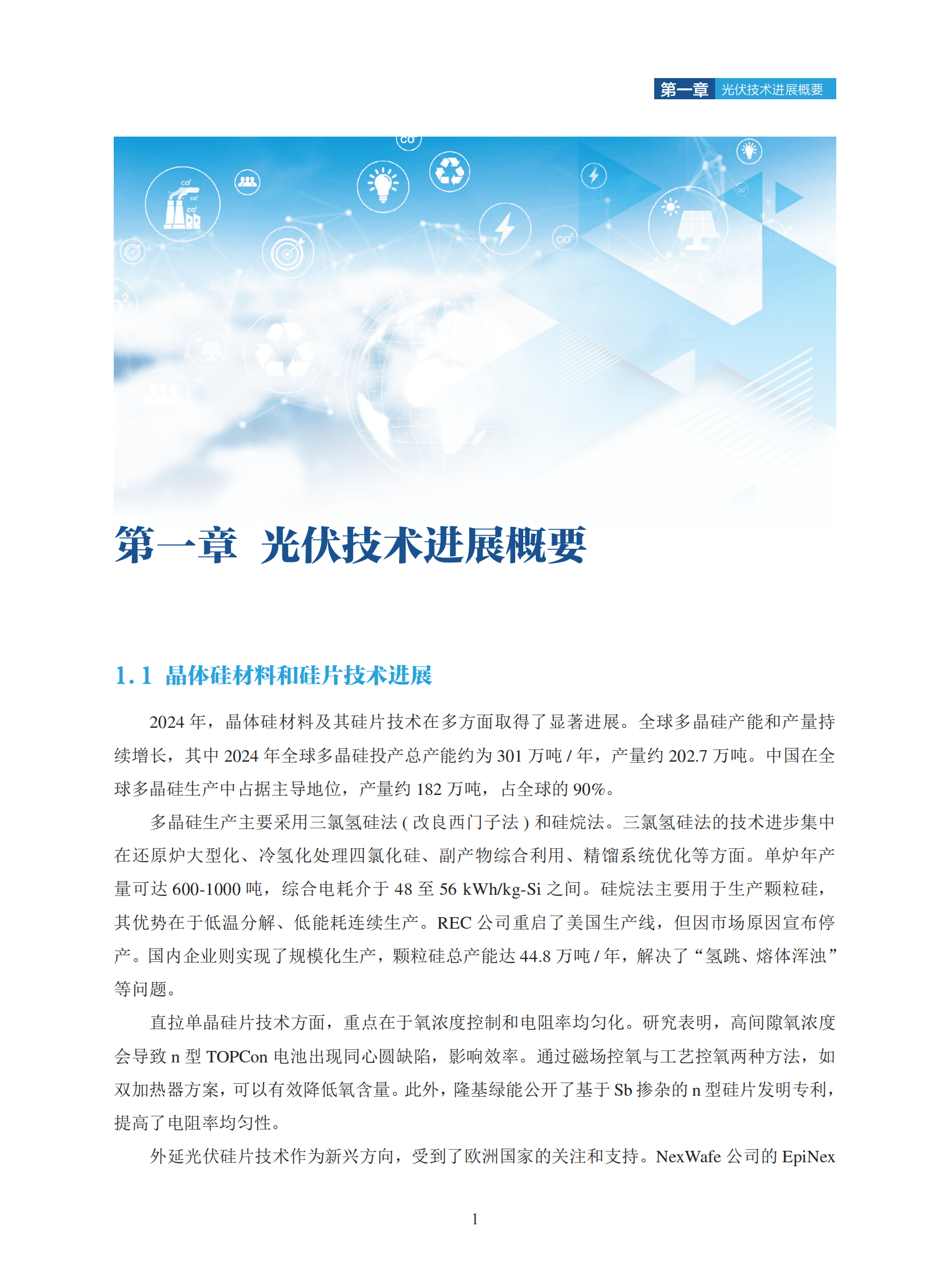 中国可再生能源学会：2025年中国光伏技术发展报告 第5页