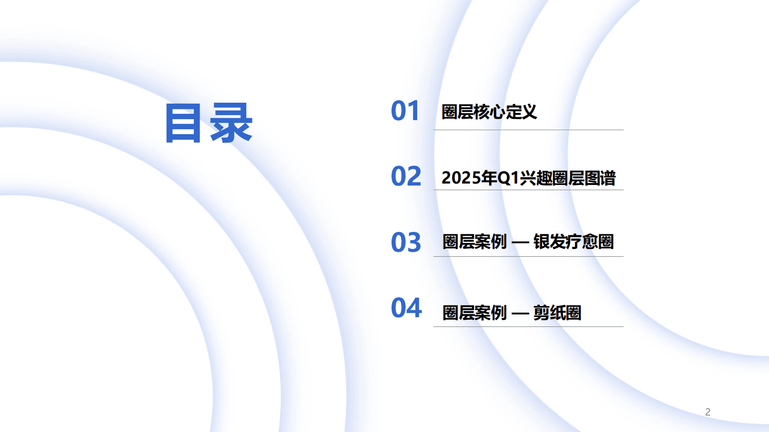 秒针系统：2025中国消费者兴趣圈层 Q1白皮书 第2页