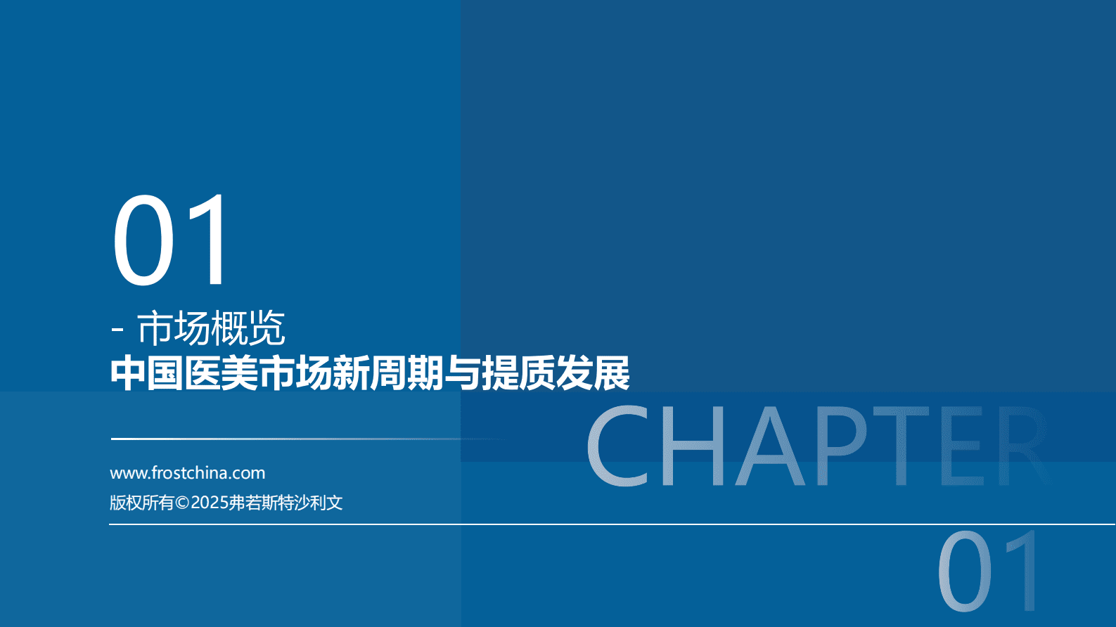 沙利文：2025年中国医美行业抗衰专题白皮书 第2页