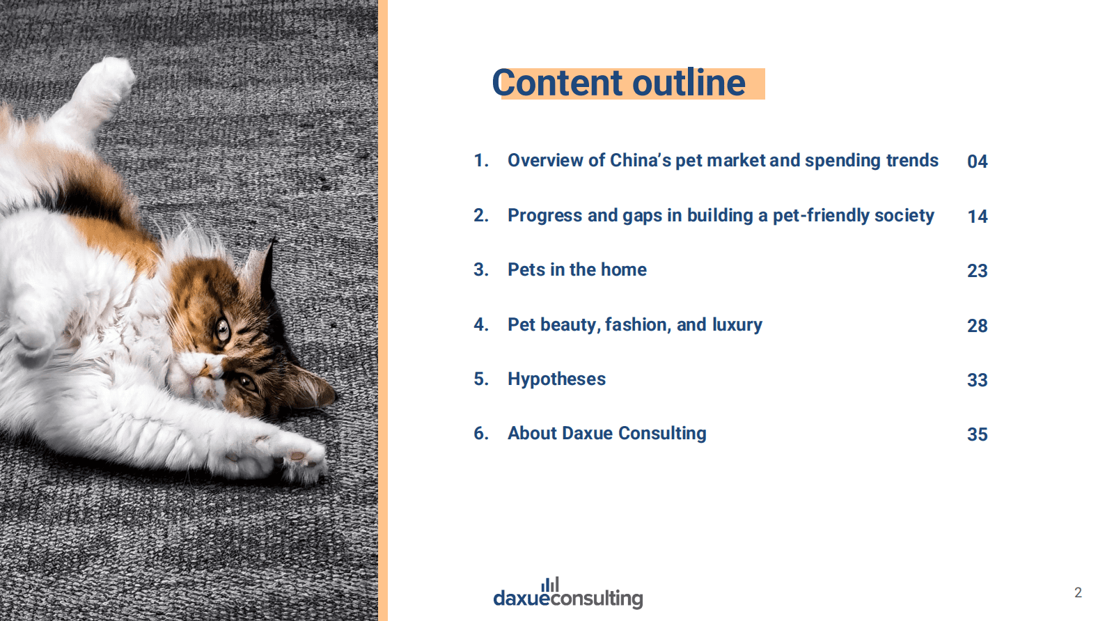 Daxue Consulting博圣轩：2025年中国宠物经济报告（英文版） 第2页
