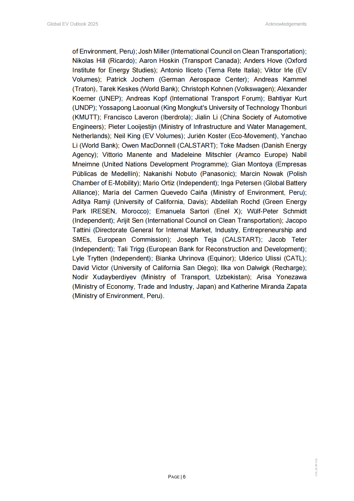 2025年全球电动（新能源）汽车展望报告（英文） 第6页