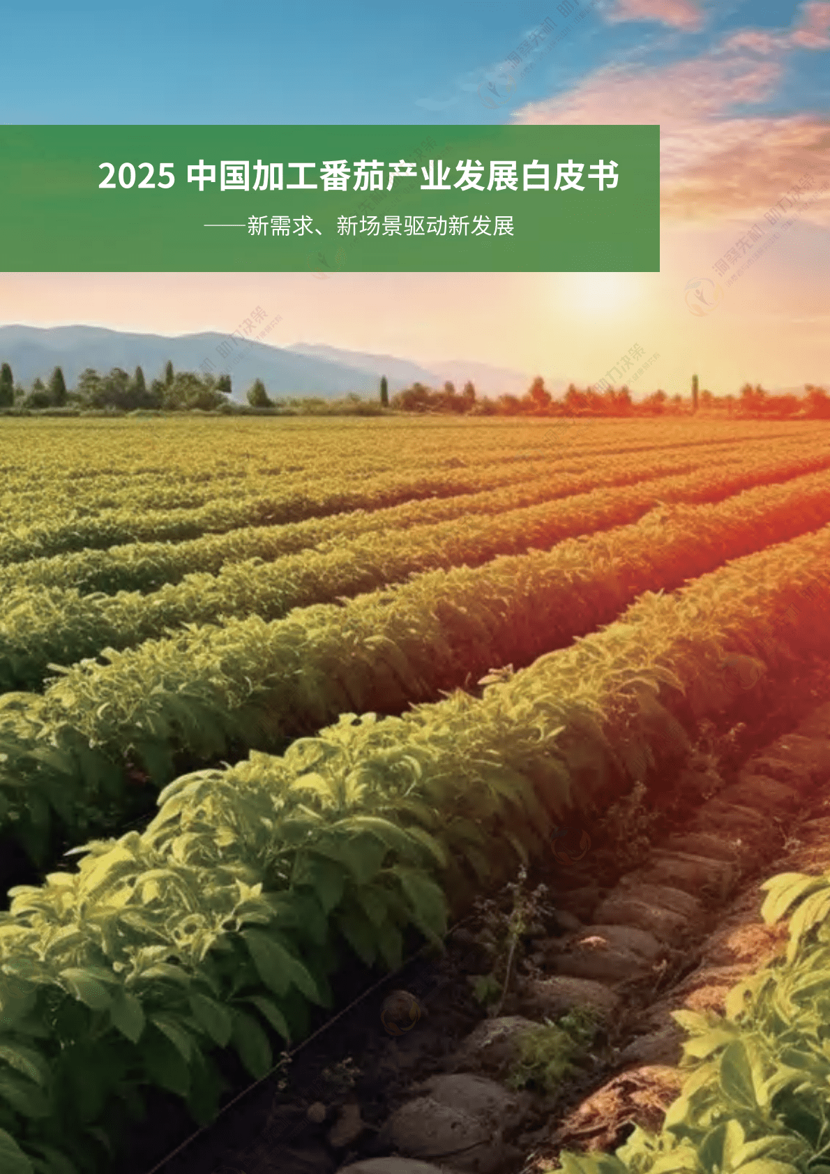 中粮营养健康研究院：2025年中国加工番茄产业发展白皮书 第3页