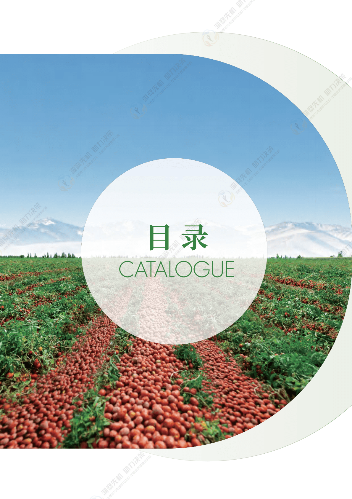 中粮营养健康研究院：2025年中国加工番茄产业发展白皮书 第4页