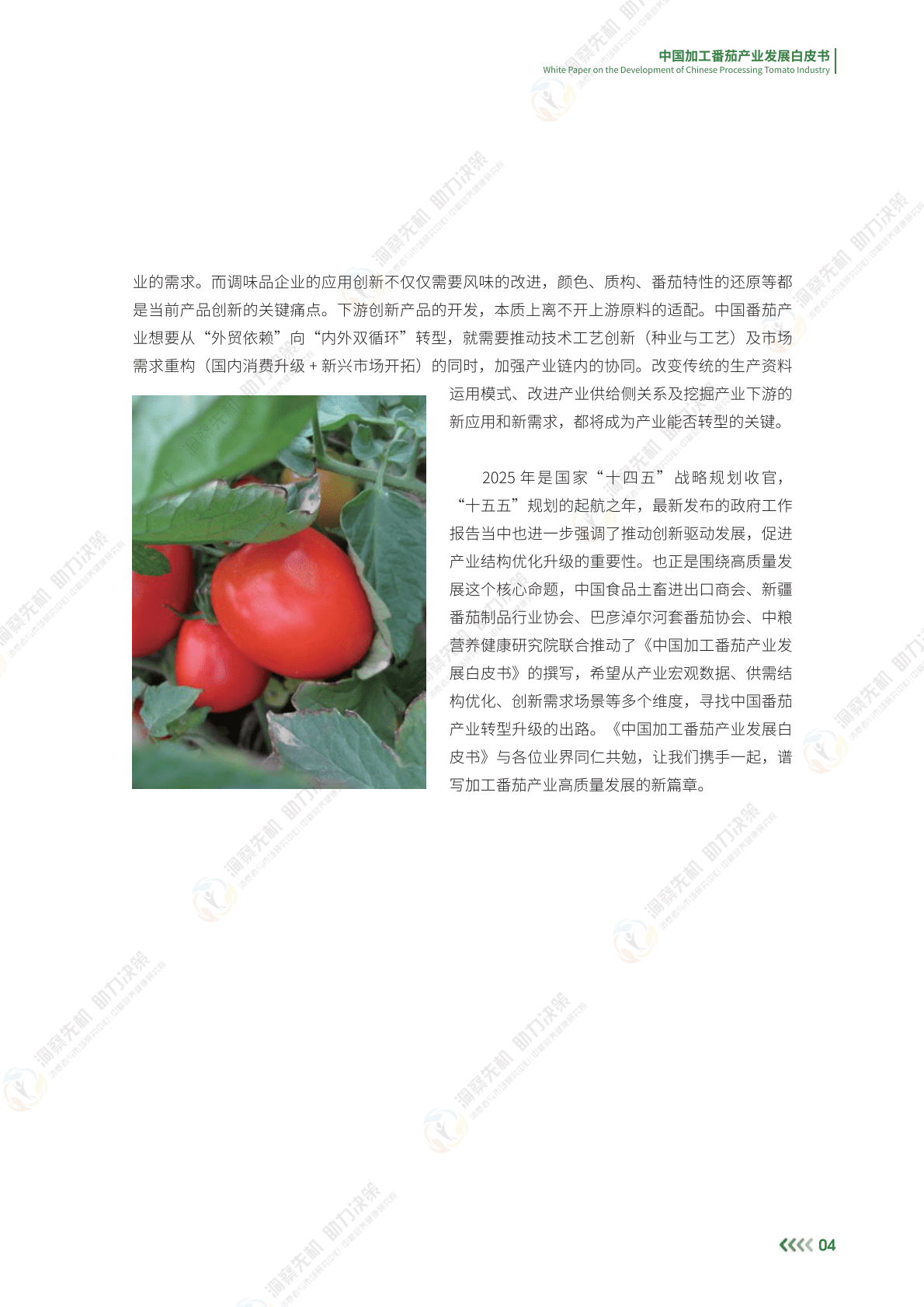 中粮营养健康研究院：2025年中国加工番茄产业发展白皮书 第7页