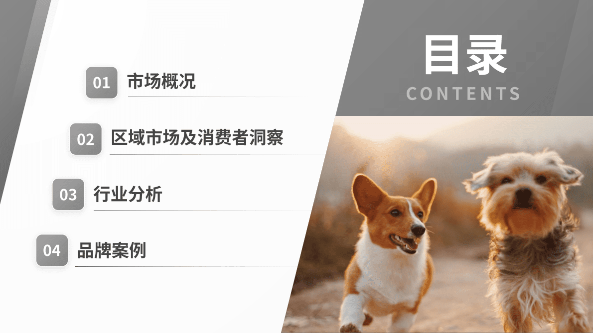 大数跨境：2025年宠物殡葬用品洞察报告 第3页