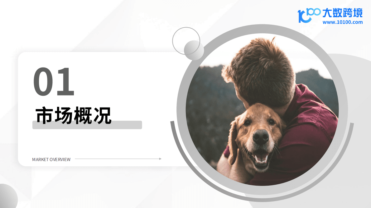 大数跨境：2025年宠物殡葬用品洞察报告 第4页