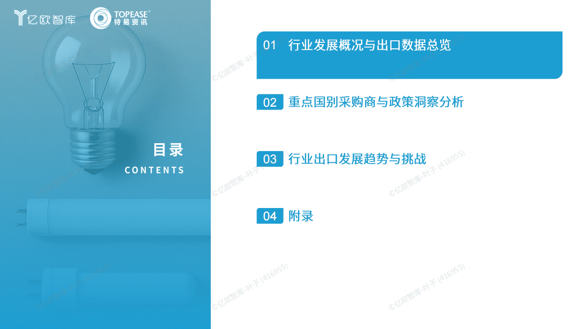 亿欧智库：2025年中国照明行业出海国别机会洞察报告 第2页