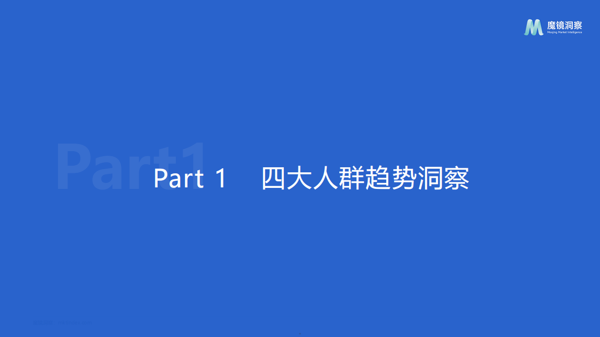 魔镜洞察：2025年四大人群健康与保健食品洞察报告 第5页