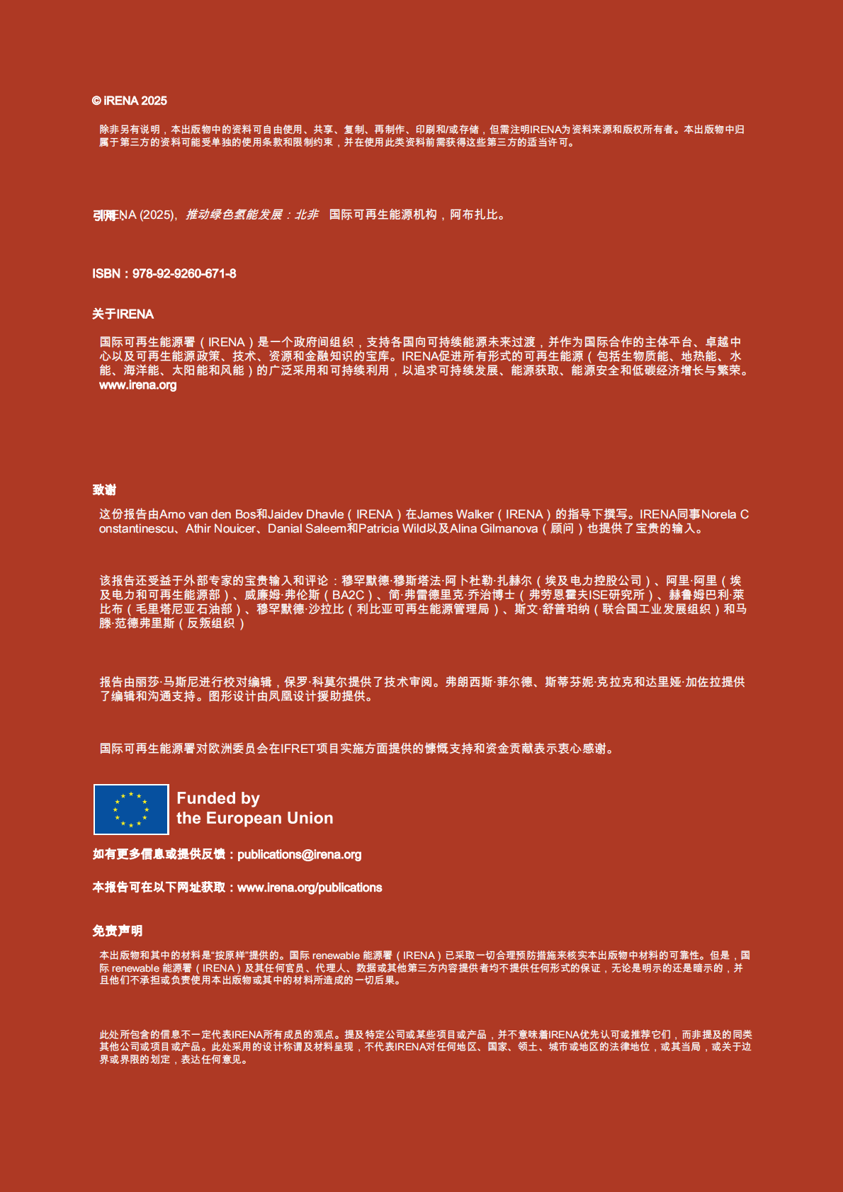 国际可再生能源署：实现绿色氢能发展 第2页