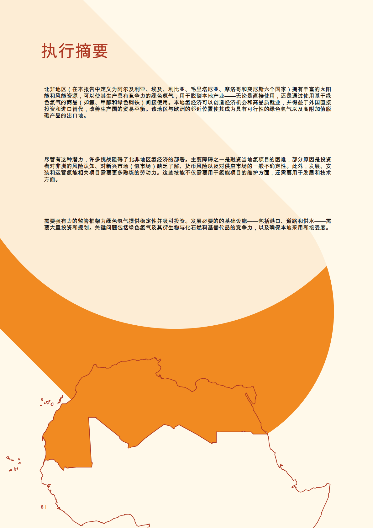 国际可再生能源署：实现绿色氢能发展 第6页