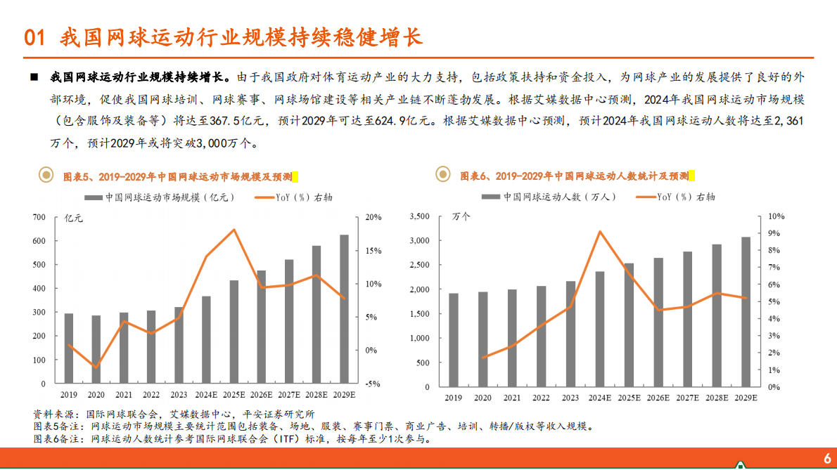 平安证券：运动户外专题系列-五-：网球运动行业全景图 第6页