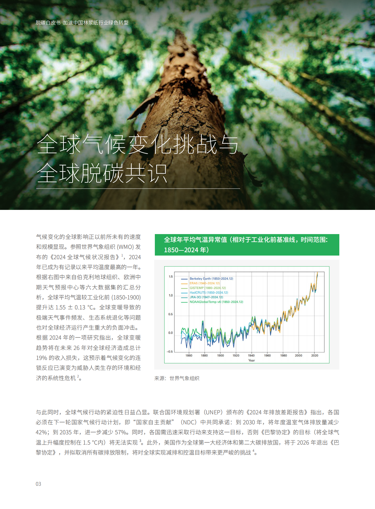 德勤&书赞桉诺：2025年中国林浆纸业脱碳白皮书 第6页