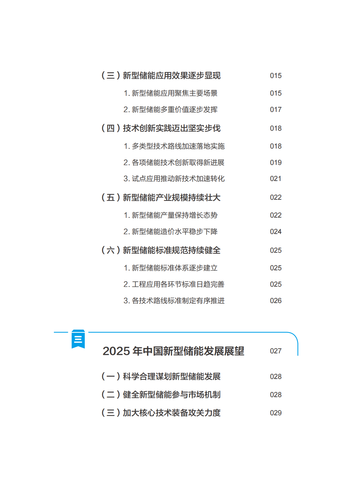 国家能源局：中国新型储能发展报告2025 第8页