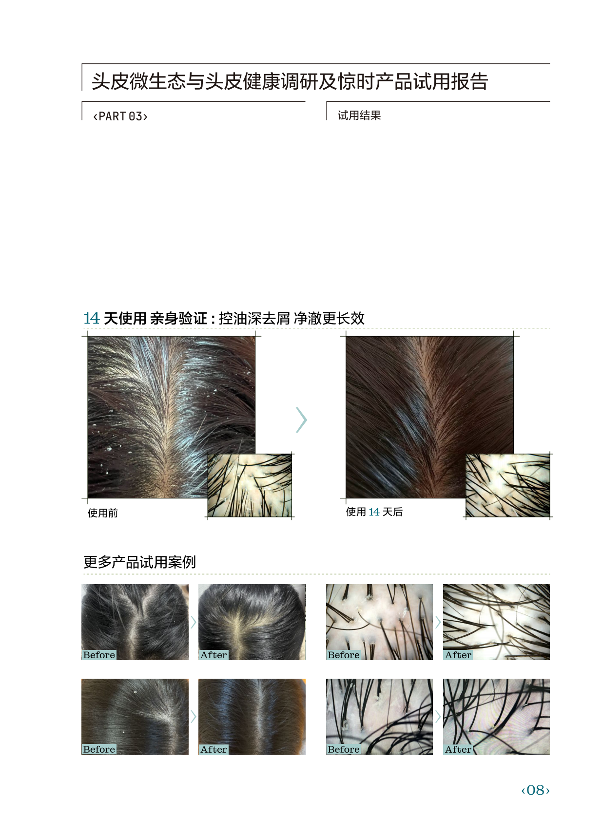 惊时白皮书附录册电子版 第8页