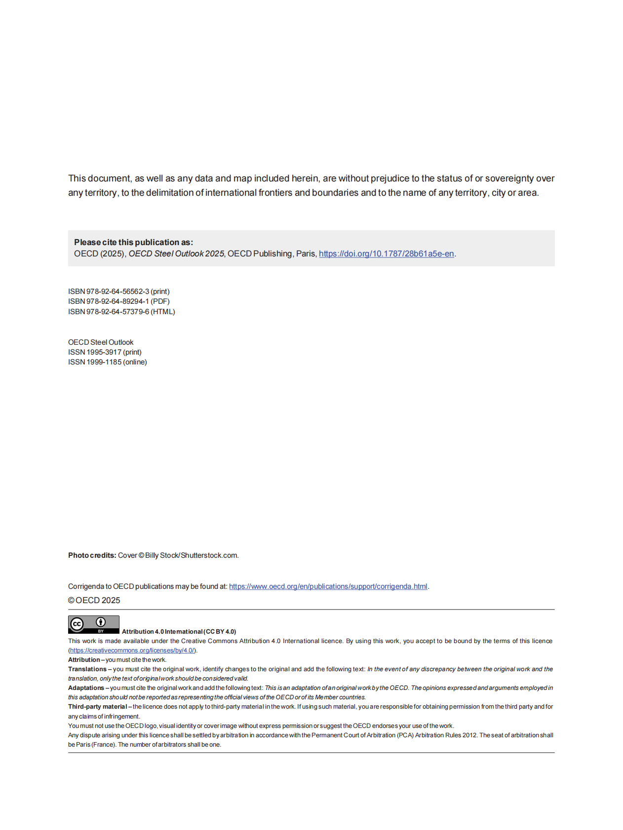 2025年钢铁展望报告（英文） 第4页