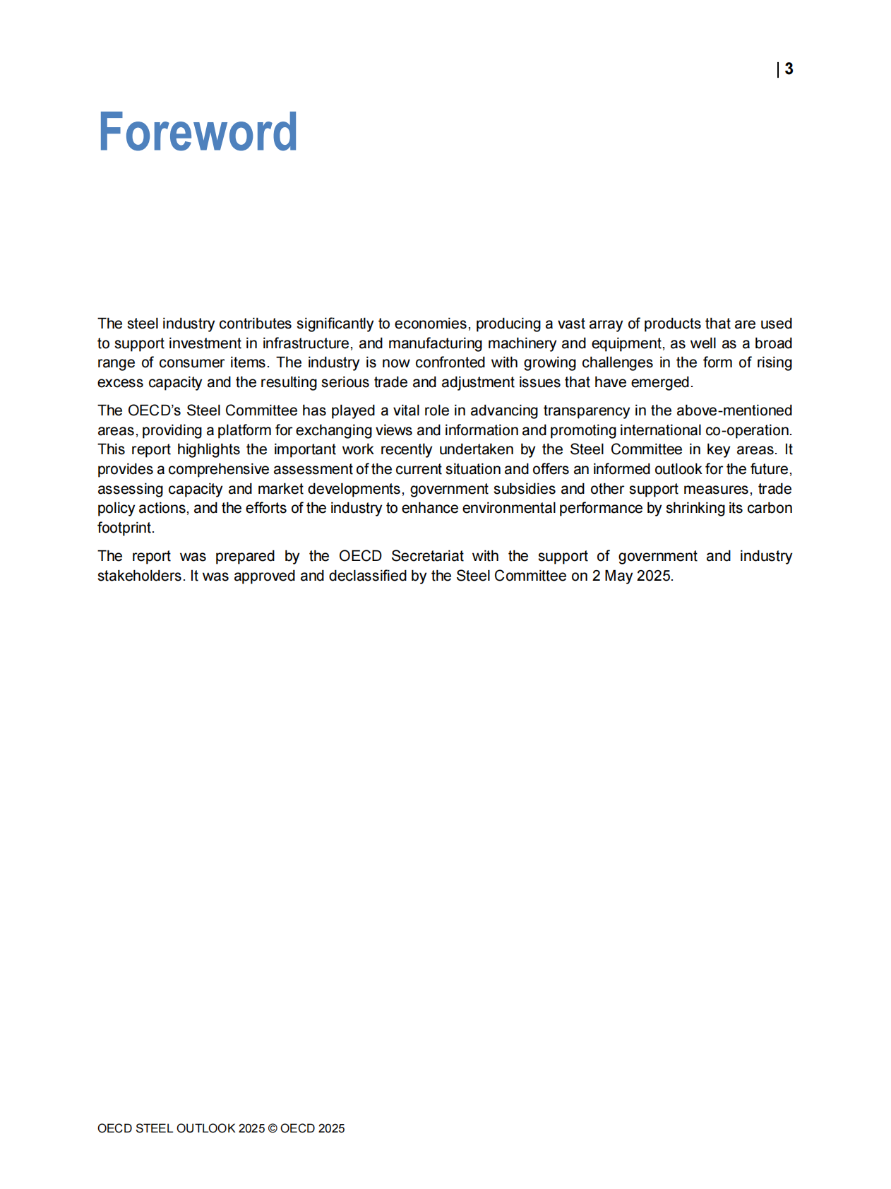 2025年钢铁展望报告（英文） 第5页
