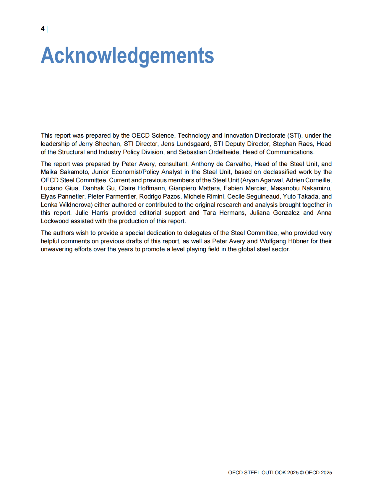 2025年钢铁展望报告（英文） 第6页