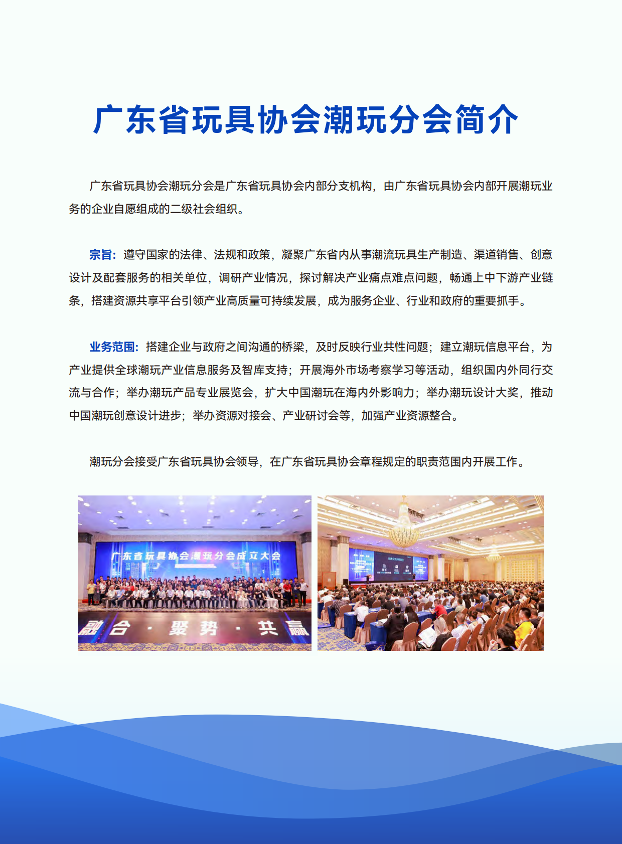 广东省玩具协会：2025年东南亚潮玩市场考察报告 第3页