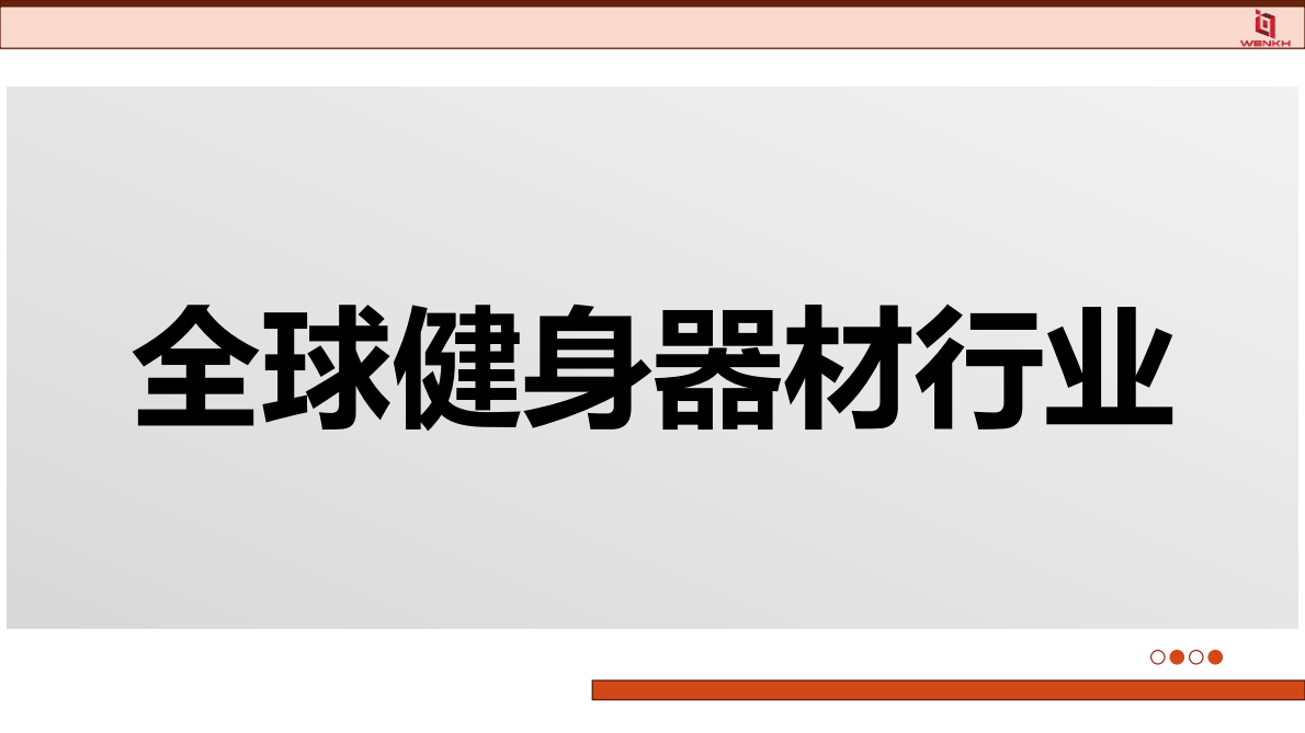 问可汇：2025年健身器材行业分析报告 第3页