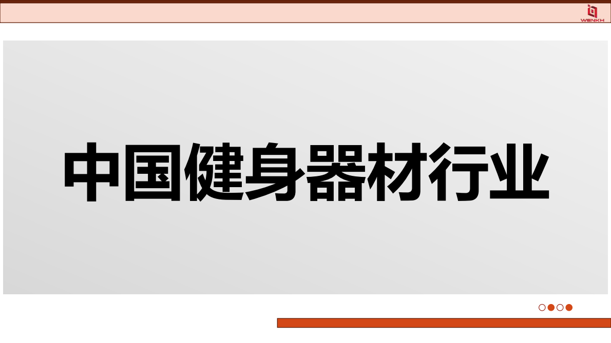 问可汇：2025年健身器材行业分析报告 第6页