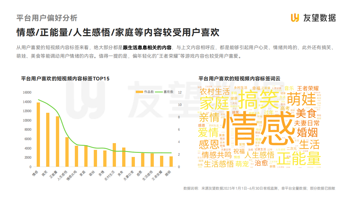 友望数据：2025年视频号半年度生态洞察报告 第6页