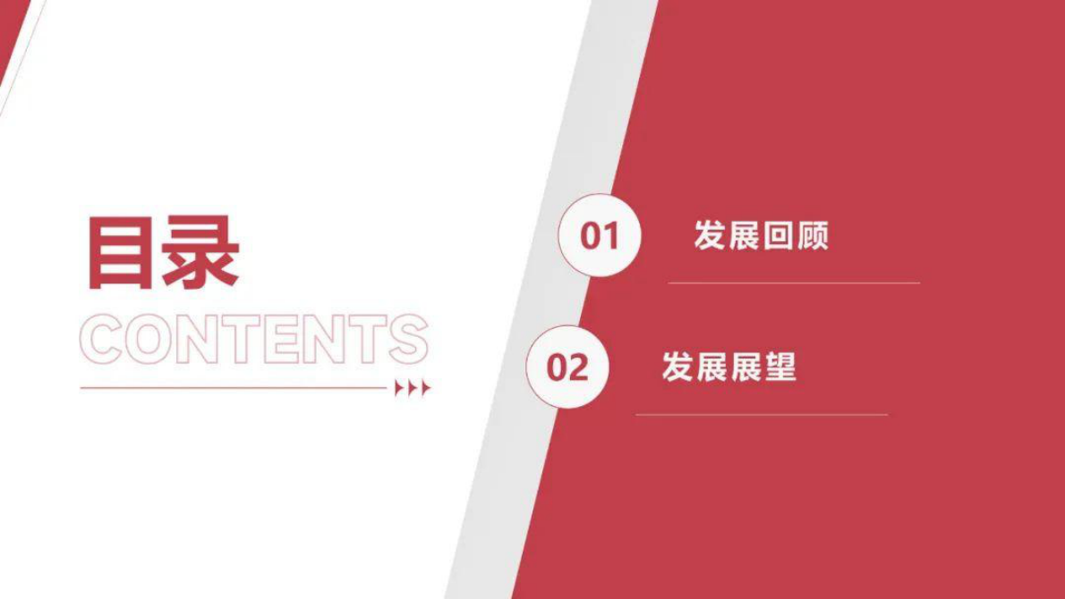 中国光伏行业协会 王勃华：2025年光伏行业上半年发展回顾与下半年形势展望 第2页