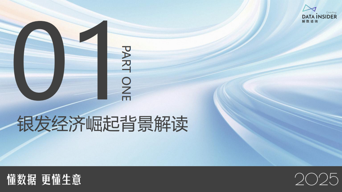 解数咨询：2025年银发健康食品赛道创新图谱 第3页