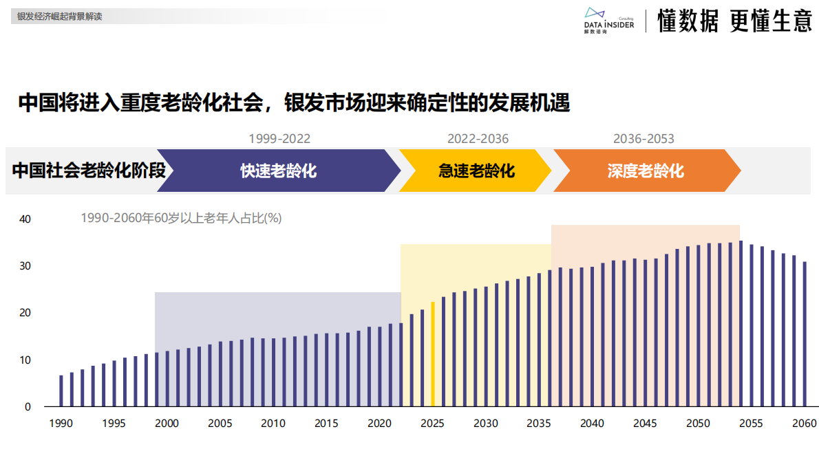 解数咨询：2025年银发健康食品赛道创新图谱 第4页