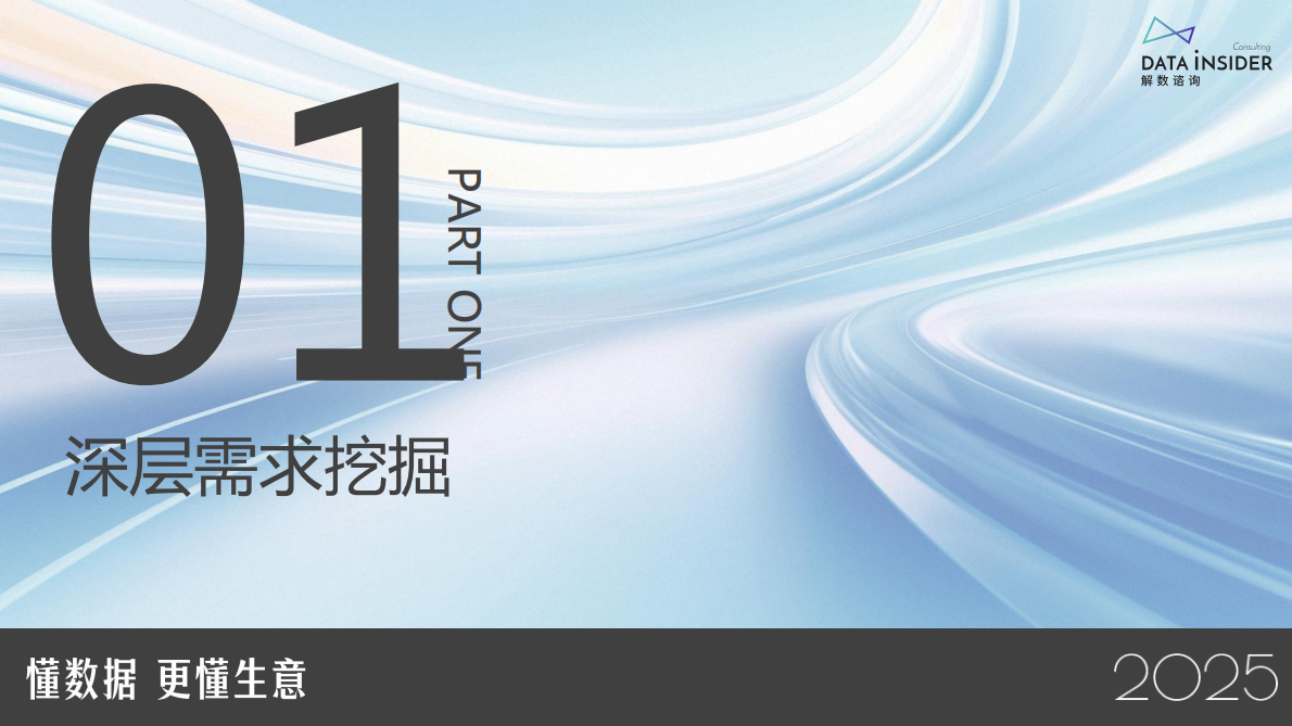解数咨询：2025年银发电商的精准营销策略 第3页