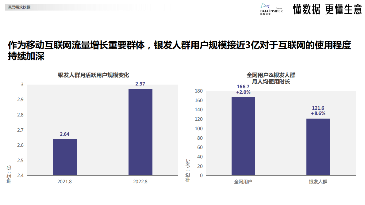 解数咨询：2025年银发电商的精准营销策略 第4页