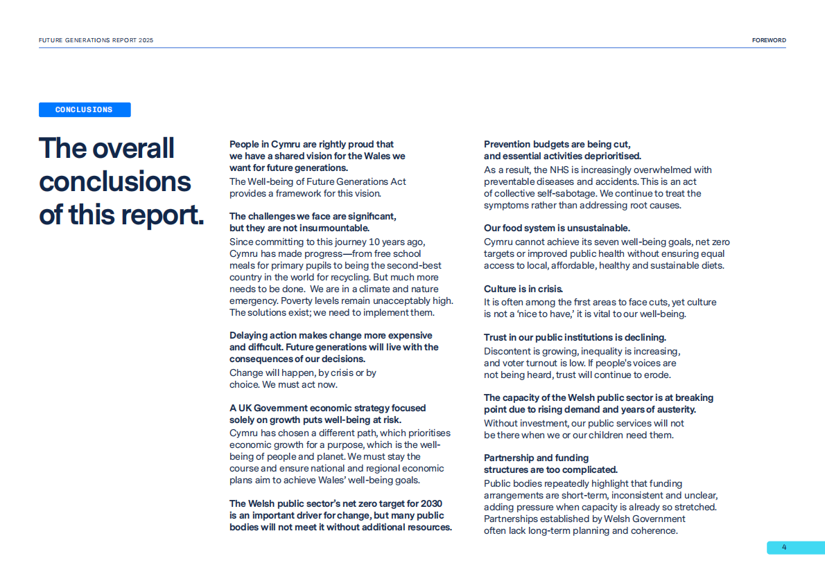 2025年未来世代报告（英文） 第4页