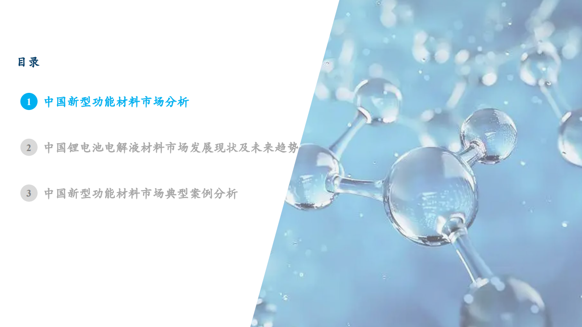 沙利文：2025年新型功能材料行业发展白皮书 第3页