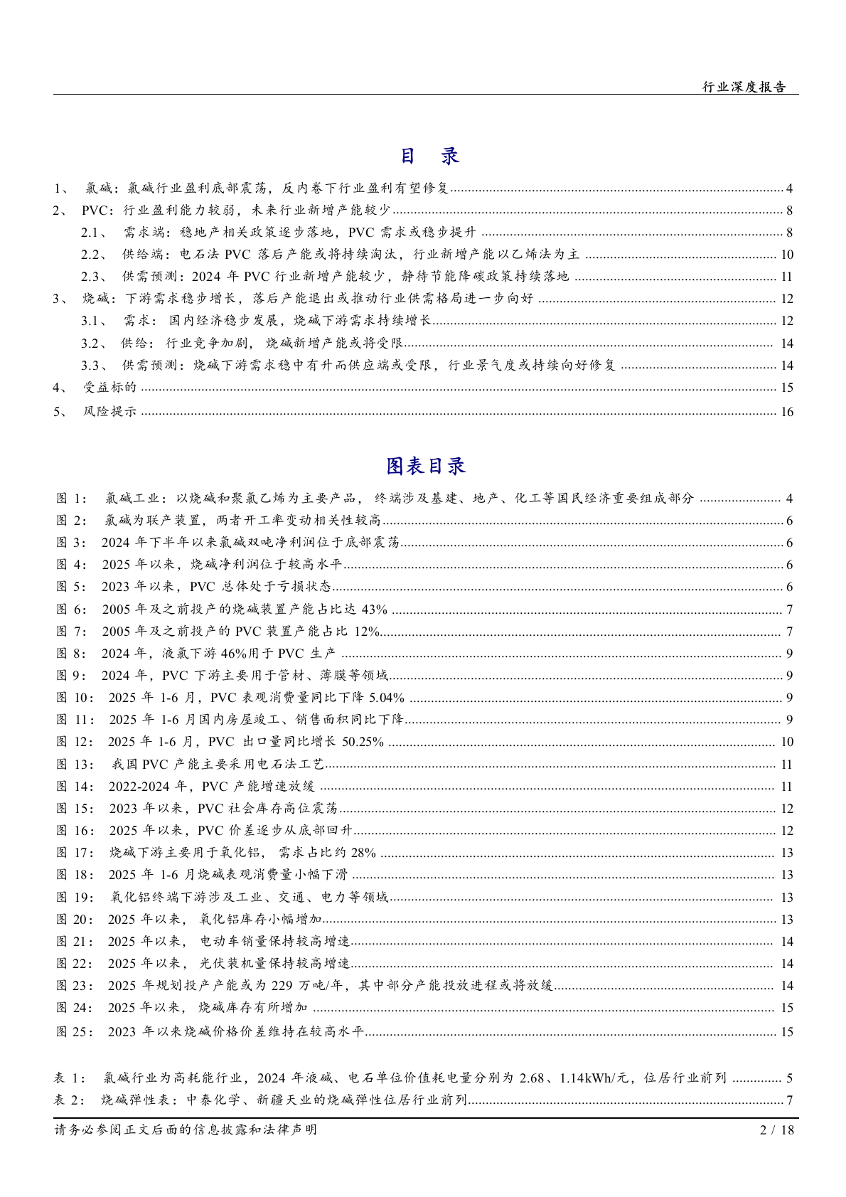 2025年氯烧碱基础化工行业研究报告 第2页