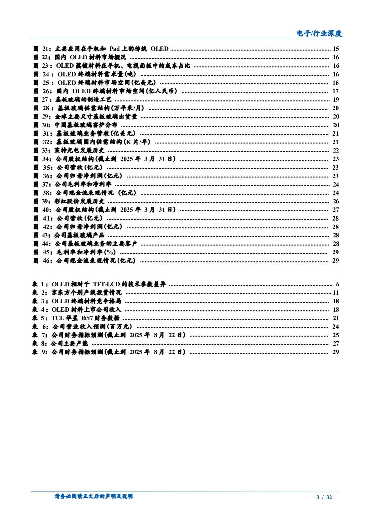 2025年国内电子行业面板材料显示行业市场发展前景行业研究报告 第4页
