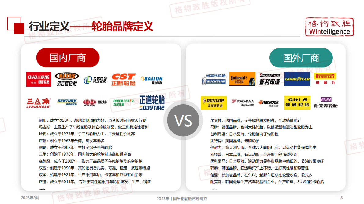 格物致胜：2025年中国半钢轮胎市场白皮书 第6页