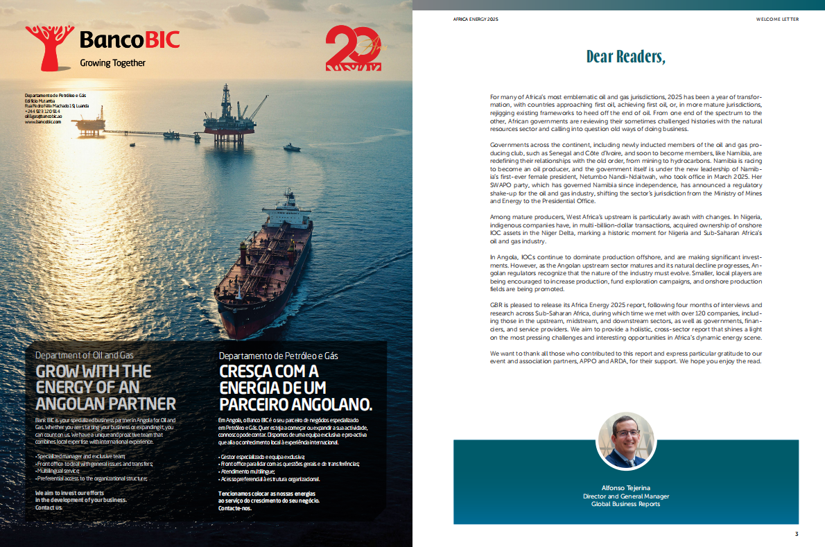 GBR：2025年非洲能源报告（英文版） 第1页