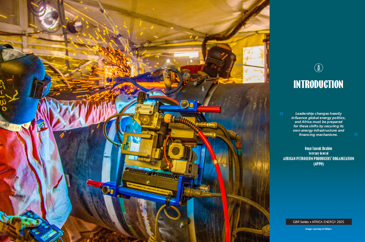 GBR：2025年非洲能源报告（英文版） 第3页