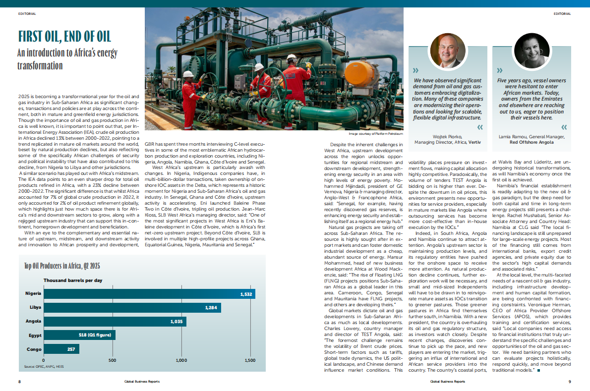 GBR：2025年非洲能源报告（英文版） 第4页