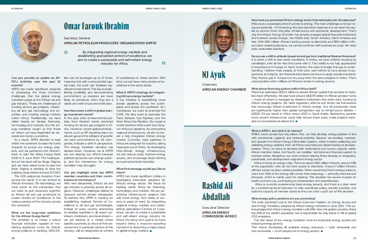 GBR：2025年非洲能源报告（英文版） 第5页